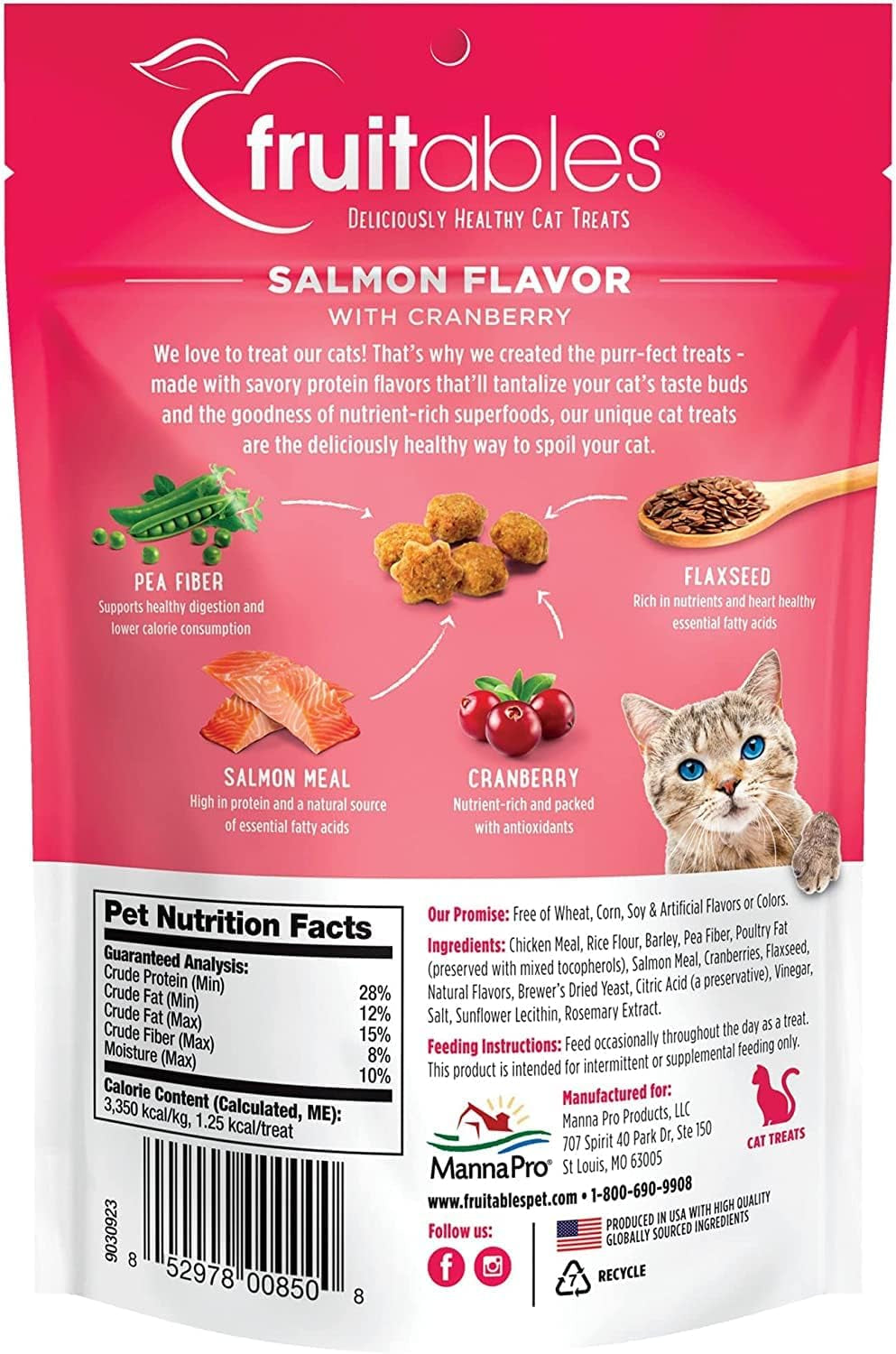 Cat Treats – Crunchy Treats for Cats – Healthy Low Calorie Treats Packed with Protein – Free of Wheat, Corn and Soy – Made with Real Salmon with Cranberry – 2.5 Ounces